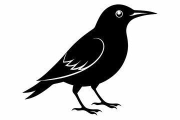 Wallcreeper silhouette black vector