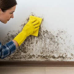 Close-up of a woman's hand washing the wall from mold with a sponge and cleanser, copy space