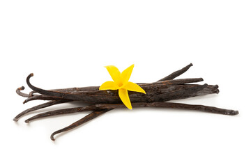 Vanilla pods isolated on white background. Vanilla flowers and seeds. vanilla stick bean. Aromatic...