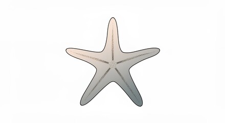Obraz premium Starfish illustration graphic design
