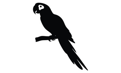 Parrot silhouette, Tropical bird icon, Exotic animal graphic