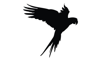 Parrot silhouette, Tropical bird icon, Exotic animal graphic