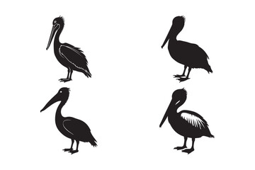 Obraz premium Stylized Silhouettes of Four Unique Pelican Designs