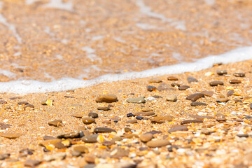 Sea waves with foam near sea or ocean shore. The sandy beach with soft golden sand, shells and rocks. Vacation background.
