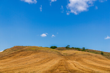 Obraz premium rural countryside landscape during a sunny summer day inside Val d'Agri, Basilicata
