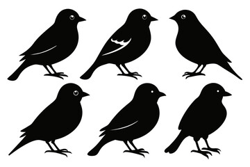 chaffinch sihouette black vector bundle