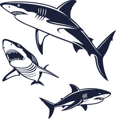 Obraz premium Set of shark and fin vector illustration isolated icons. Shark silhouette set vector design big pack of sea illustration and icon shark silhouette vector Bundle illustration Different kind of sharks