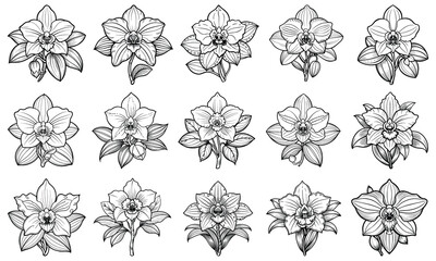 Printable Orchid Coloring Page with Detailed Line Art for Adults, Ideal for Mindful Relaxation, Stress Relief, and Creativity, Perfect for Art Therapy or Adult Coloring Books.
