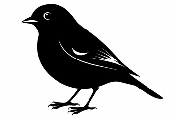 Obraz premium linnet sihouette black vector
