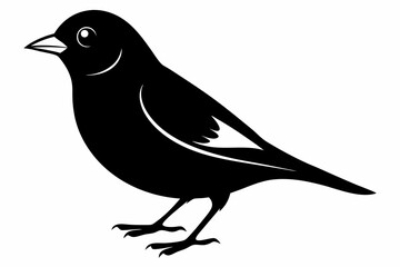 Obraz premium linnet sihouette black vector