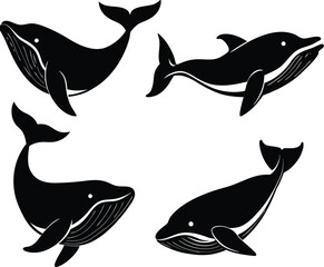 Black Whale Fish Silhouette designs