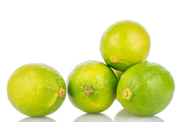 Several juicy limes isolated on white background, close-up.