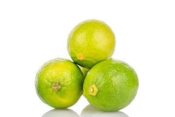 Three juicy limes, macro, isolated on white background.