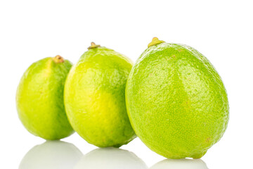 Three juicy limes, macro, isolated on white background.