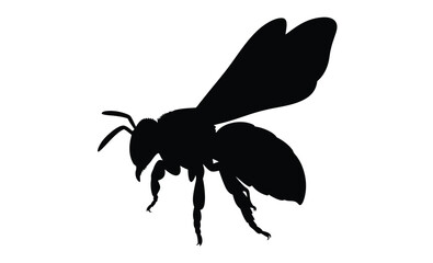 Bee silhouette, Flying bee vector, Insect black graphic, Bee illustration on white background
