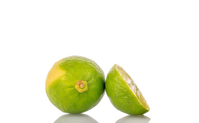 Several juicy limes isolated on white background, close-up.