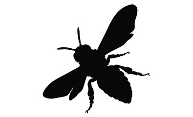Bee silhouette, Flying bee vector, Insect black graphic, Bee illustration on white background