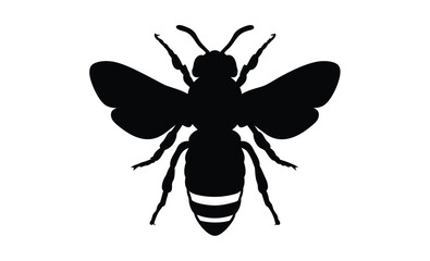 Bee silhouette, Flying bee vector, Insect black graphic, Bee illustration on white background