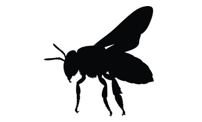Bee silhouette, Flying bee vector, Insect black graphic, Bee illustration on white background