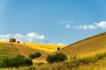 Fototapeta premium rural countryside landscape during a sunny summer day inside Val d'Agri, Basilicata