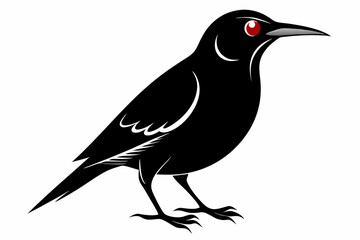 Obraz premium wallcreeper sihouette black vector