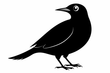 Obraz premium wallcreeper sihouette black vector