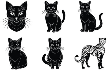 Cute black cat animal vector illustration set