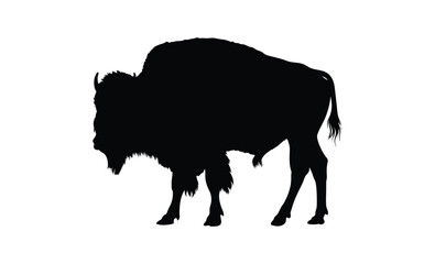 Bison silhouette, American buffalo graphic, Wild bison icon, Animal silhouette on white background