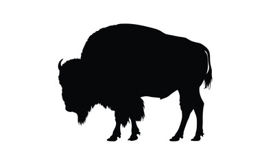 Bison silhouette, American buffalo graphic, Wild bison icon, Animal silhouette on white background