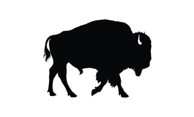 Bison silhouette, American buffalo graphic, Wild bison icon, Animal silhouette on white background
