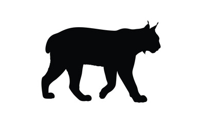 Bobcat silhouette, Wild cat icon, Bobcat animal graphic, Predator illustration on white background