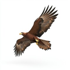Obraz premium Majestic golden eagle in flight powerful wings and sharp gaze