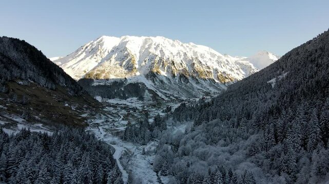 Snow covered mountains, forests and trees. Pine, cedar, hornbeam forests. A nature view from the untouched mountains and forests.