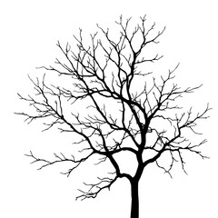 Obraz premium Leafless Tree Silhouette: A stark, minimalist silhouette of a leafless tree against a white background, evoking a sense of winter, dormancy, or resilience. 