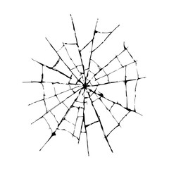 Obraz premium Spiderweb Detail: An intricately detailed spiderweb, showcasing its radial symmetry and delicate structure against a clean backdrop, embodying both natural design and intricate craftsmanship.