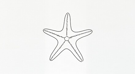 Obraz premium Starfish line drawing graphic design