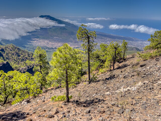 Trekking in Volcanic Landscape