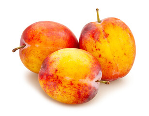 plum path isolated on white