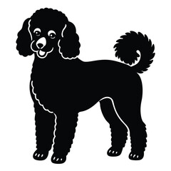 Cute black and white poodle puppy portrait, a vector illustration of a sitting canine pet