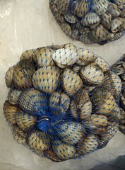 Clams on ice at the fishmonger's