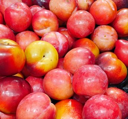 Organic red plums for good bathroom visits, constipation