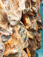 Hanging pieces of Spanish Iberian ham