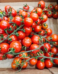 Cherry tomatoes in the supermarket. Fresh products.