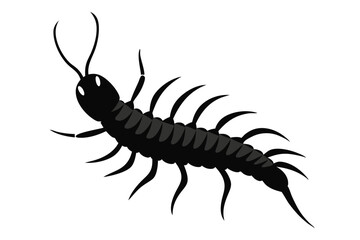a--centipede-silhuette-vector-art-illustriton-whit.eps
