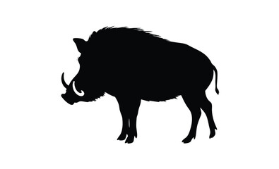Wild boar silhouette, Boar vector icon, Forest animal graphic, Boar illustration on white background