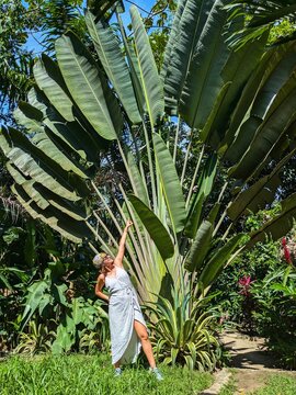 Smiling female traveler in tropical jungle near giant striped Socratea exorrhiza palm; lush rainforest vegetation, exotic flora, Caribbean paradise, botanical growth and vibrant wilderness scene