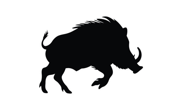 Wild boar silhouette, Boar vector icon, Forest animal graphic, Boar illustration on white background