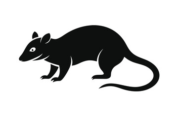 a-opossum-vector-art-illustriton-white-baground.eps