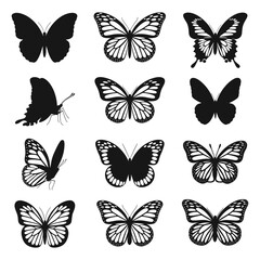 Flying butterflies silhouette