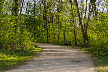 Einsame Bank an einem Weg vor lichtdurchfluteten Laubb&auml;umen.